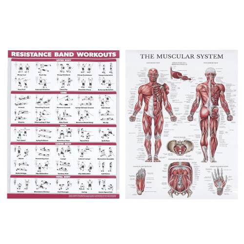 Widerstandsband-Training Poster Ganzkörper Papier 1