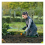 Bosch Bosch Kneeling Pad - Green 2