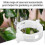 50/100/500/1000pcs Reusable Plant Support Garden Clips 2