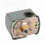 Water Pump Pressure Switch 4