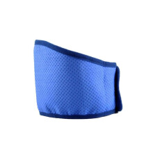 Cooling Clothing for Dogs, Summer Cooling Collar, Breathable Dog Collar, QuickDrying Pet Cooling Pad, Adjustable Scarf, Dog Care, Small