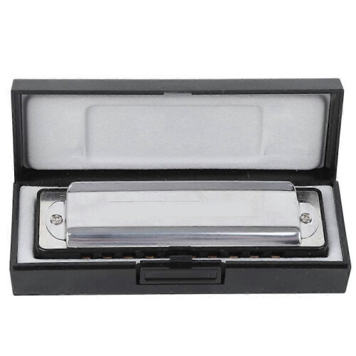 10?Hole Harmonica Blues C Key Harp Wind Musical Instrument Beginner Practice AM?20DBlack 1