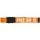 Nike NIKE Men's Standard Just Do It Reversible Web  Orange Peel  O/S 4