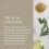 Archipelago Botanicals Γαλάκτωμα Σώματος, Καθαριστικό και Ενυδατικό για Ξηρό Δέρμα 4