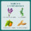 Kao Babu Bath - BAB Piece Full herb 12 Tablets Input 4