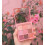 3CE Multi Eye Color Palette, Beach Muse, 9 Χρώματα 4