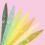 Kiara Sky Sprinkle on Glitter Collection (It's Bananas) 4