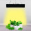 (Black, US Plug) Full Spectrum Grow Light Vegetable Lamp 4