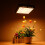 (Black, US Plug) Full Spectrum Grow Light Vegetable Lamp 3