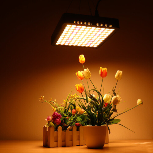(Black, US Plug) Full Spectrum Grow Light Vegetable Lamp 2