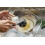 Joseph Joseph Joseph Joseph SinkTech Dish Brush with Replacement Head Durable Bristles Easy to Replace 3
