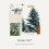 Thymes Wasmiddel - 32 Fl Oz - Frasier Spar 4