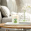 Yankee Candle Ianque vela grande jarra vela algod   o limpo 4