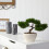 Nearly Natural 10in. Τεχνητό Δέντρο Bonsai Κέδρου σε Διακοσμητικό Γλάστρα, Πράσινο 4