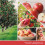 Yankee Candle Ianque vela macintosh spray de 3 pacote de quarto concentrado 4