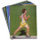 Wat zit er in Dieren Flash Cards 3