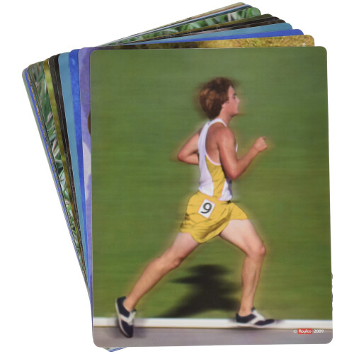 Wat zit er in Dieren Flash Cards 2