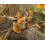 Folkmanis Chipmunk handpop bruin 4