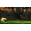 Nintendo Donkey Kong Country Returns 3D 4