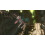 Playstation Gravity Rush Remastered     PlayStation 4 4