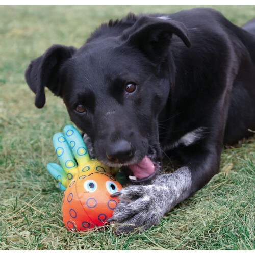 KONG KONG Shieldz Tropics Octopus Dog Toy Medium 2