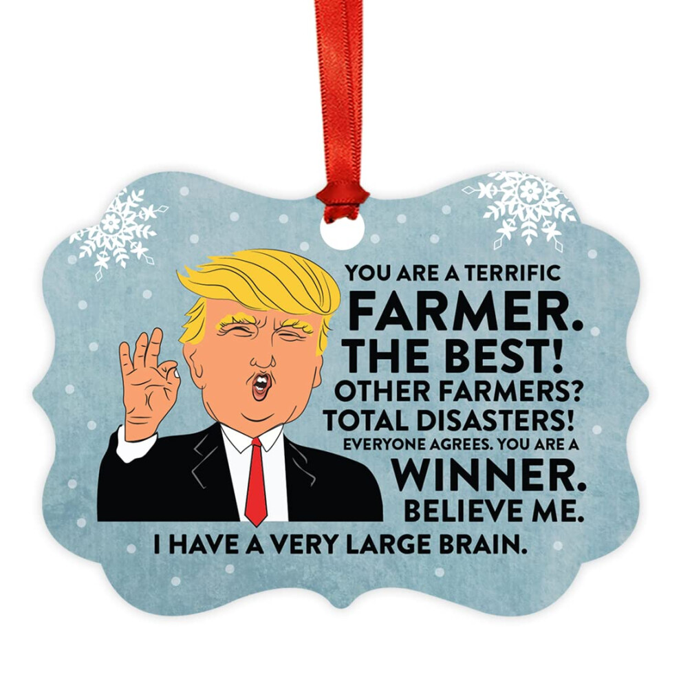 Andaz Press DéCoration De NoëL Souvenir Avec Cadre Fantaisie Du PréSident Donald Trump, Cadeau Amusant, Superbe DéCoration De Fermier, Paquet De-image