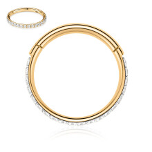 FUNLMO 18G gouden septumring, kraakbeen, Daith conch hoepel, neusring, tragus, oorbellen, 10 mm