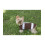 Simplicity 1239 Dog Coat Sewing Pattern  Fits Small  Medium  and Large Size Dogs 3