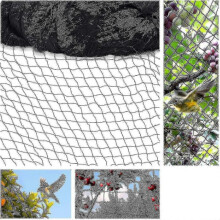15m X 15m Anti Bird Net Uv Stabilized Hdpe Mesh with 5cm X 5cm Holes M