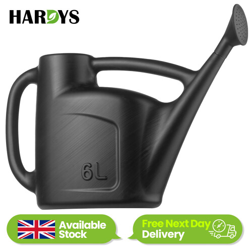 6L Black Watering Can with Detachable Rose Head