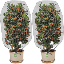 (As show, One size) (240X240CM)2 Packs Insect Bird Barrier Netting Mesh with Drawstring Garden Bug Netting Plant Cover for Protect Plant Fruits Flower