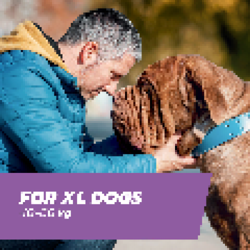 FleaSolve Spot-On Very Large Dog x3 Flea Treatment 2