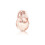 Bvlgari Bvlgari Omnia Crystalline Eau de Parfum 50ml Spray 2
