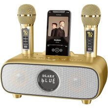 Upgrade Karaoke Machine for Adults and Kids,Portable Bluetooth 2 UHF Wireless Karaoke Microphone with Holder, PA Speaker System for Home Party, -Gold