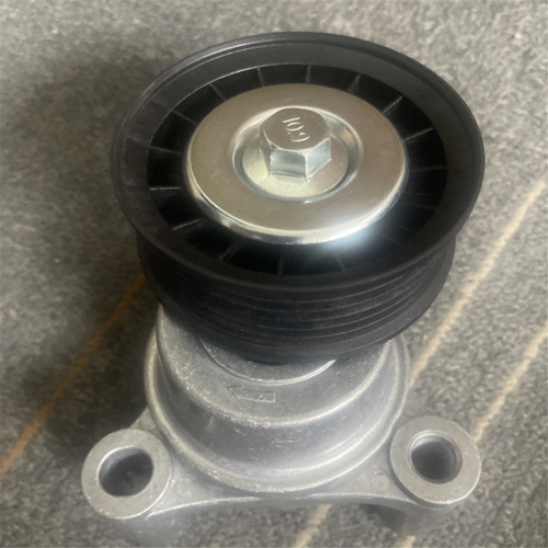 Riemspanner 3885250 voor PCM 4.3L 5.0L 5.7L 1