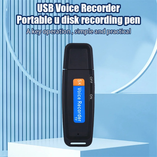 Kleine USB-spraakopname mini digitale spraakrecorder 2