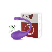(Type 4 - doos) App-vibrators voor vrouwen Bluetooth G-spot dildo met lange afstand, vibrerend ei, vrouwelijke vaginale bal, slipjes, seksspeeltjes