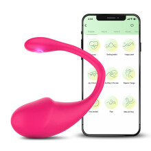 (Type 3) App-vibrators voor vrouwen Bluetooth G-spot dildo met lange afstand, vibrerend ei, vrouwelijke vaginale bal, slipjes, seksspeeltjes voor