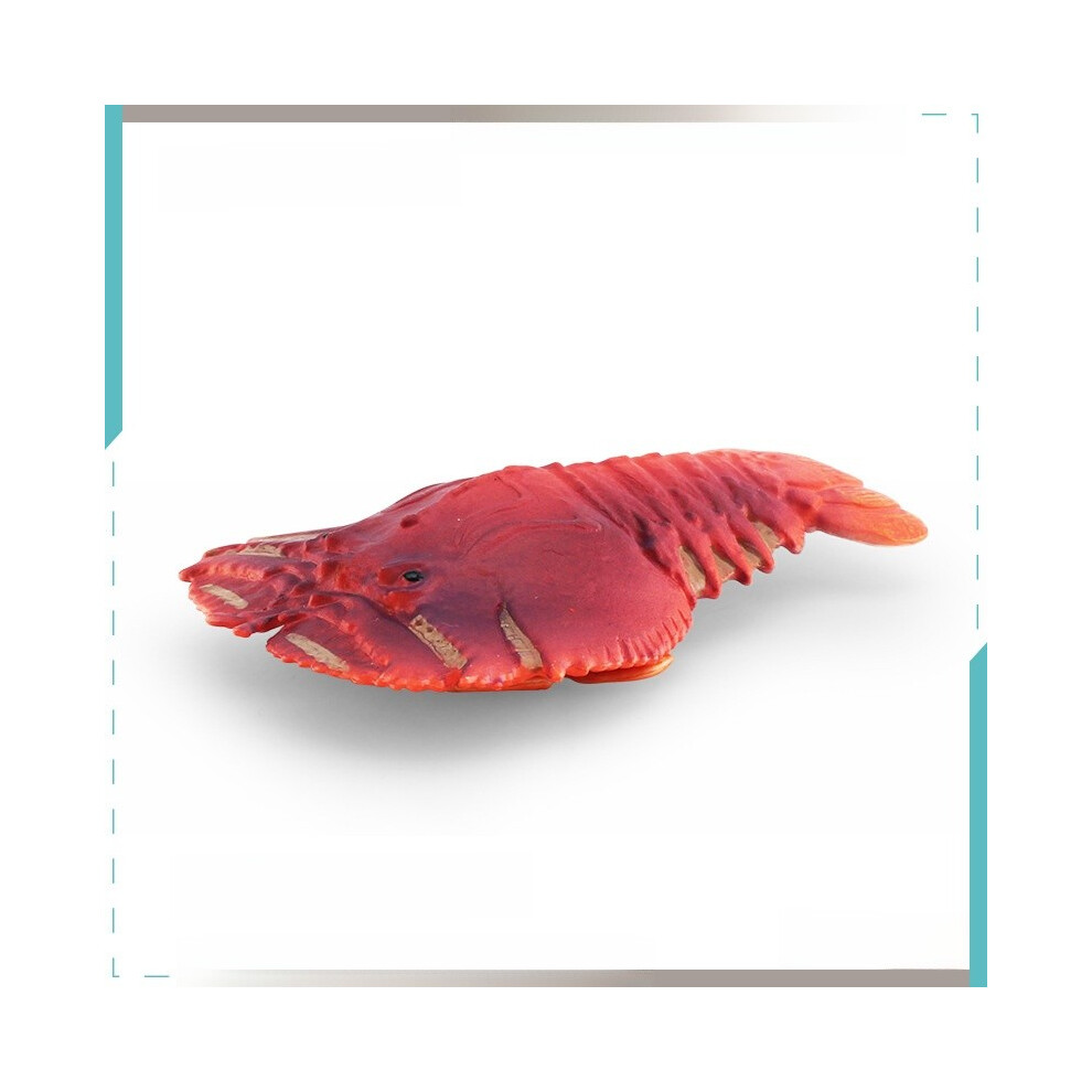 (Squilla )Modelo De Pvc Marine Life Con Camarones Y Cangrejos Pipi Realistas Para DecoracióN Acuario-image