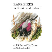 Rare Birds in Britain and Ireland