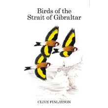 Birds of the Strait of Gibraltar