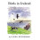 Birds in Ireland 1