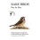 Rare Birds Day by Day 1