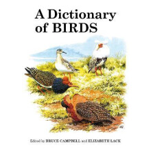A Dictionary of Birds
