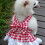 Kariertes Hundekleid Leine-Set Größe S Rot Polyester 5