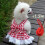 Kariertes Hundekleid Leine-Set Größe S Rot Polyester 4