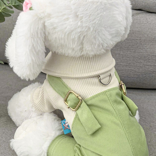 Grüner Hunderoverall aus Polyester, Größe L, hält warm, mit Schnalle 2