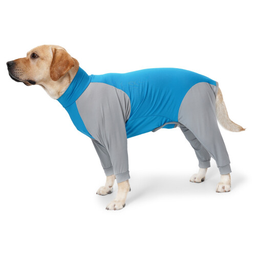 Blau-Grau XS vierbeiniger Hund Loungewear Polyester 2