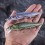 Sinkender Minnow Swing-Köder 12 cm 13,3 g 5 Farben 4