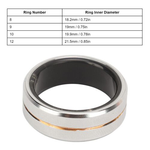 Nr. 12 Smart Ring Silber 18 mAh, 400 mAh Gehäuse 1
